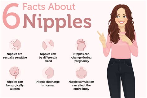 Nipple Facts: 24 Things to Know About Types, Sizes, and Bumps。